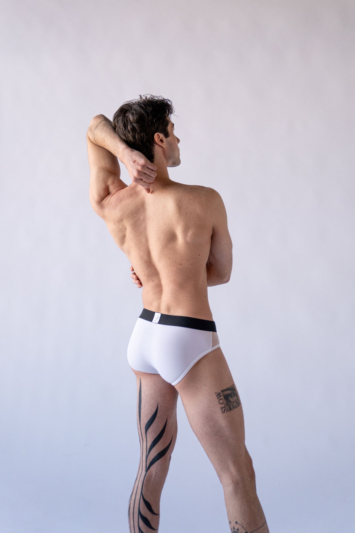 Meshigan Brief - Snow White